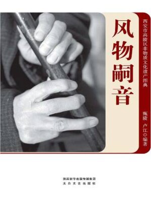 cover image of 风物嗣音
